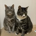 jinhea_a 프로필 사진