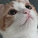 eomdoenjang 인스타그램 프로필 사진