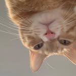 hobakkk__ 프로필 사진