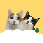 gureum_cat_ 프로필 사진