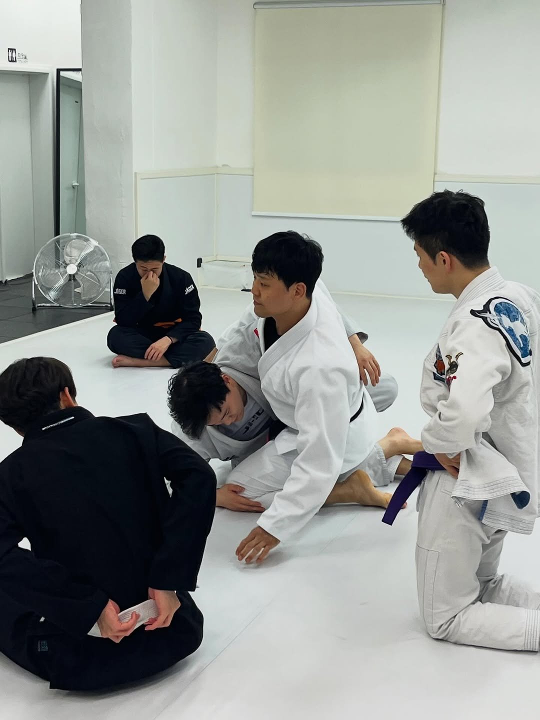 ep_bjj 게시물 이미지: 화요일은 하프가드패스🌓