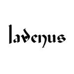 lavenus_shop 프로필 사진