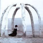 ttlonline_ 프로필 사진