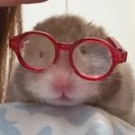 p._.rm_ 프로필 사진
