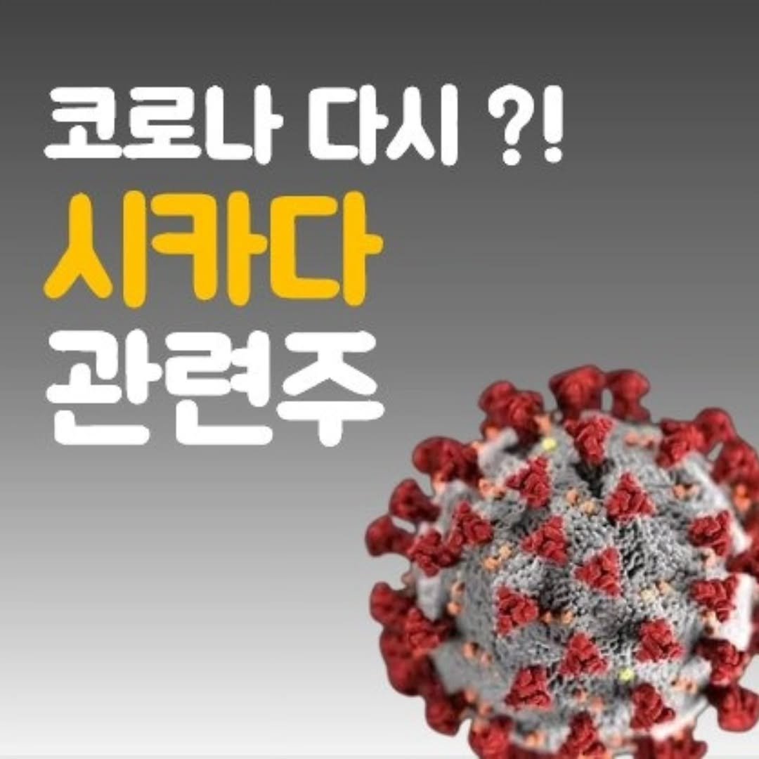 Photo by 주식 투자 관련주 테마주 재테크 - 전소미 🎓 비트코인 해외선물 해외주식 on April 16, 2026. May be an image of text that says '코로나 코로나다시?! 다시?! 시카다 관련주'.