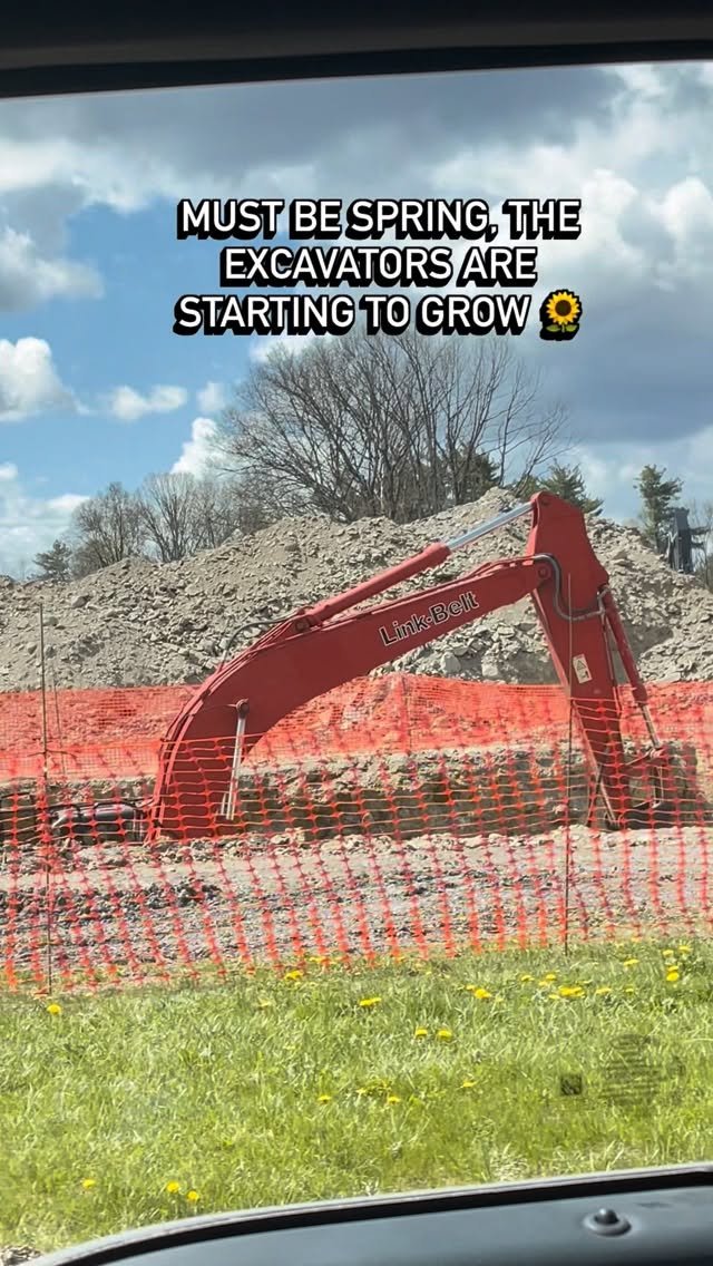 eric_jumper 게시물 이미지: The yellow ones are prettier