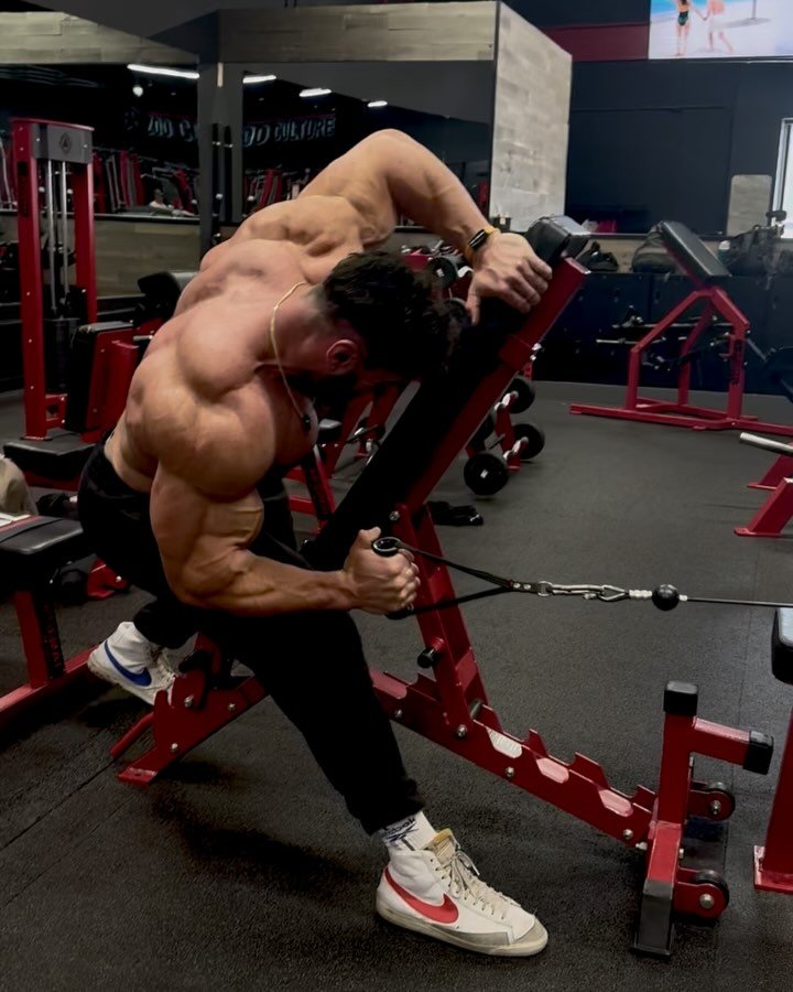 ericjanickifitness 게시물 이미지: My perfect back day and why 👇👇👇

This session...