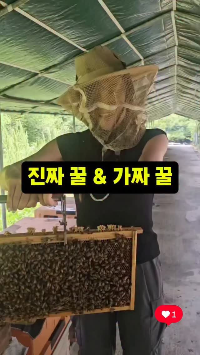 erin_myway 게시물 이미지: 진짜꿀 원하시는분
진짜꿀 써주시거나

프로필링크에서 구매 가능합니다