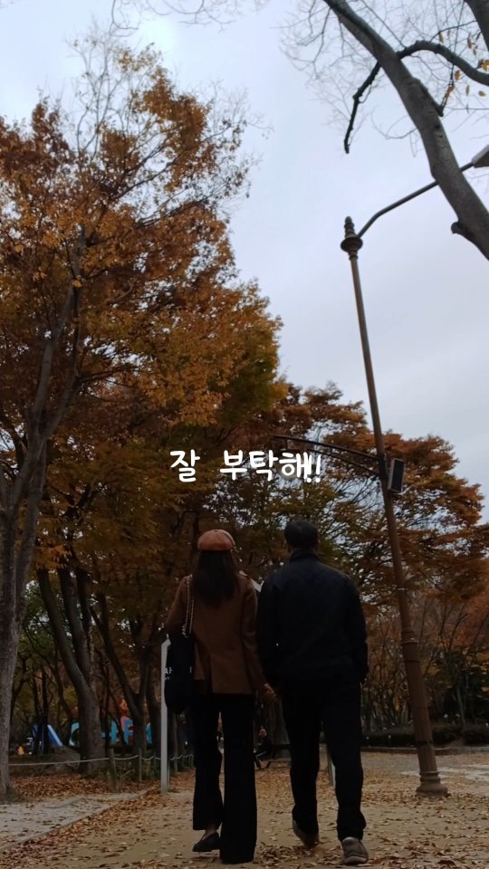 erin_myway 게시물 이미지: 우리 집 세 남자는 믿지 않겠지만,
전부 I형 인간이다.
혼자 있는 걸...