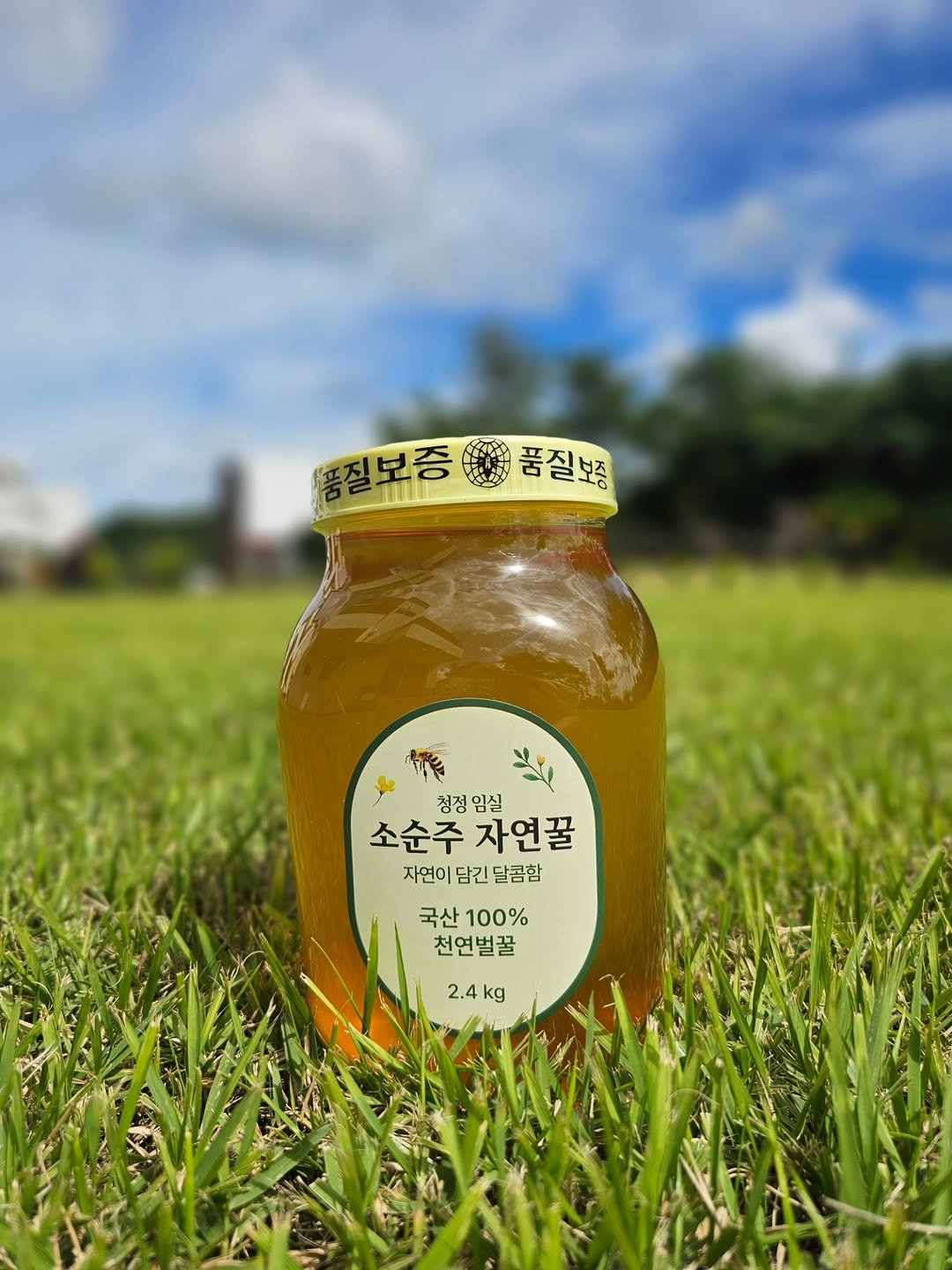 Photo shared by 에린| 다이어트ㆍ스쿼트&굿볼코치 on September 29, 2025 tagging @sosoonju_hoeny. May be an image of bee, jar and text that says '홍질보증.품절보통 보증 품질보증 품질보증 청정임실 청정 소순주 소순주자연꿀 자연꿀 자연이 자연이담긴달콤함 담긴 달콤함 국산100% 국산 100% 천연벌꿀 2.4kg'.