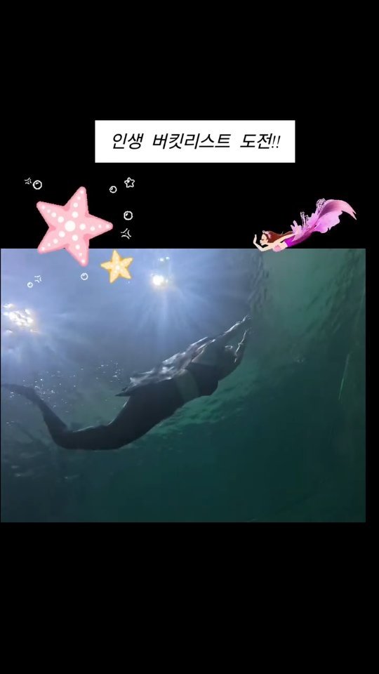 erin_myway 게시물 이미지: 이게 나라니!! 실화냐구요
버킷리스트였던 인어 변신, 드디어 도전합니다.
물속에서...