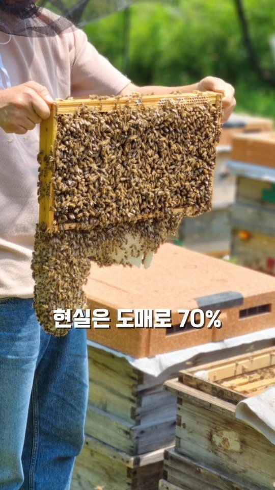 erin_myway 게시물 이미지: 추석선물
택배 9월30일 마감합니다 
서두르세요!!

양봉 10년,
좋은 꿀만...