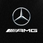 mercedesamgf1motorsport 프로필 사진