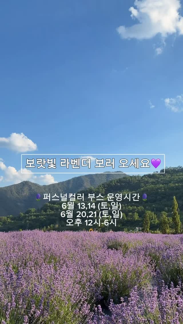 etto_colorlab 게시물 이미지: 🪻동해시 무릉별 라벤더축제 X 이또컬러랩🪻

벌써 내일이죠! 6월 13일 ~...