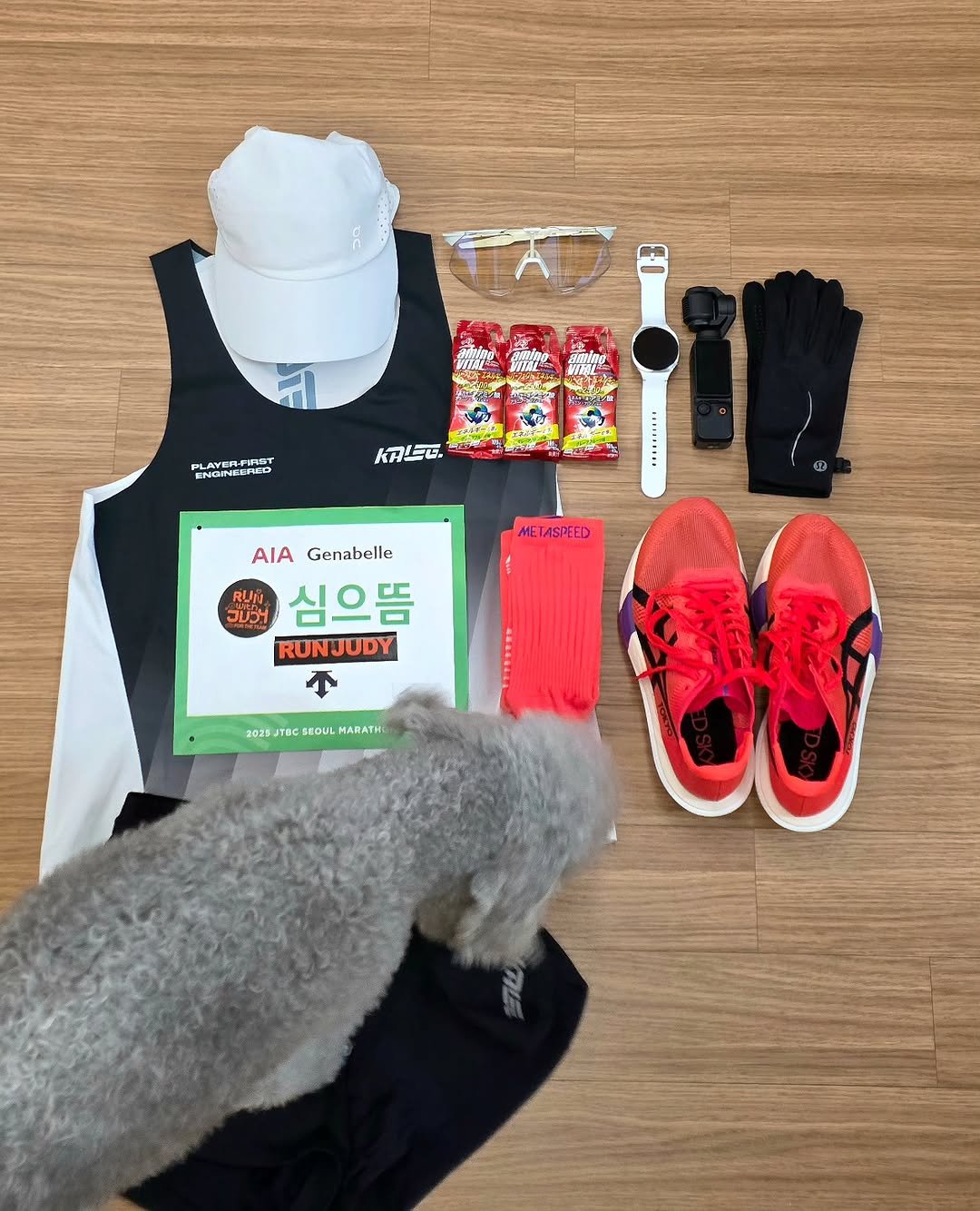 Photo shared by 심으뜸 on November 01, 2025 tagging @samsungkorea, @lululemonkr, @aminovital_kr, @asicskr, @oneulnamsan, @100percent_kor_, @runable.original, @runwithjudy, @kaleg.official, and @on.korea. May be an image of Bedlington terrier, sweat band, sportswear and text that says 'PLAYERFERO LAYER-FIRST K피더. ME LASPEED AIAGenabelle AIA Genabelle ร 심으뜸 RUNJUDY 2023TOCSEQULMARATH SEOUL MARATH'.
