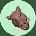 top.physical 프로필 사진