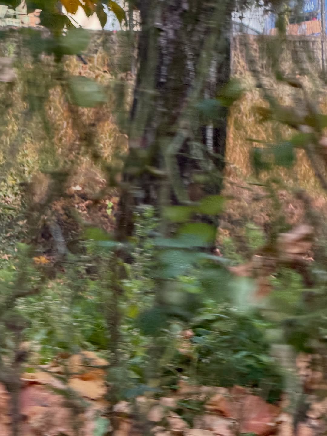 Photo by Eunji Hong on November 29, 2025. May be an image of park and text.