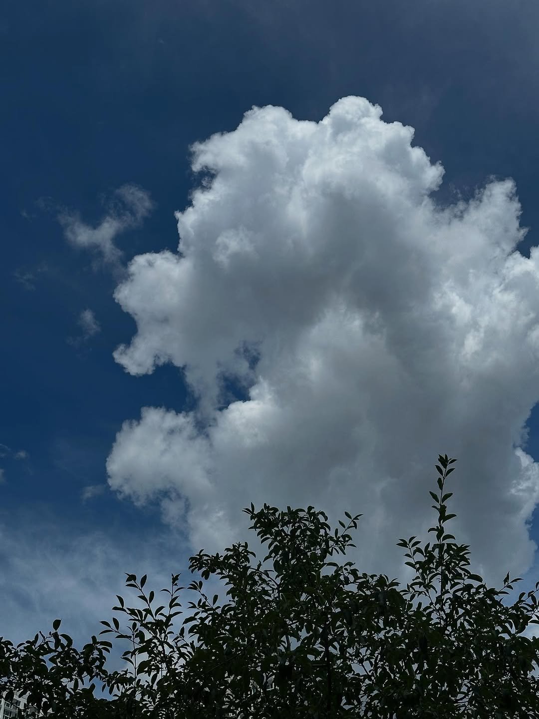 Photo by 공기업 취준생 은호 on July 23, 2025.