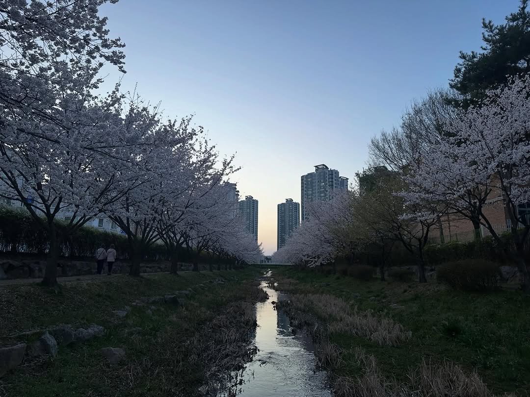 eunho_xxtudy 게시물 이미지: 늦은 코레일 필기 점수 올리기🚄
반성 및 부정적인 얘기 한가득이라 읽지 않는걸...
