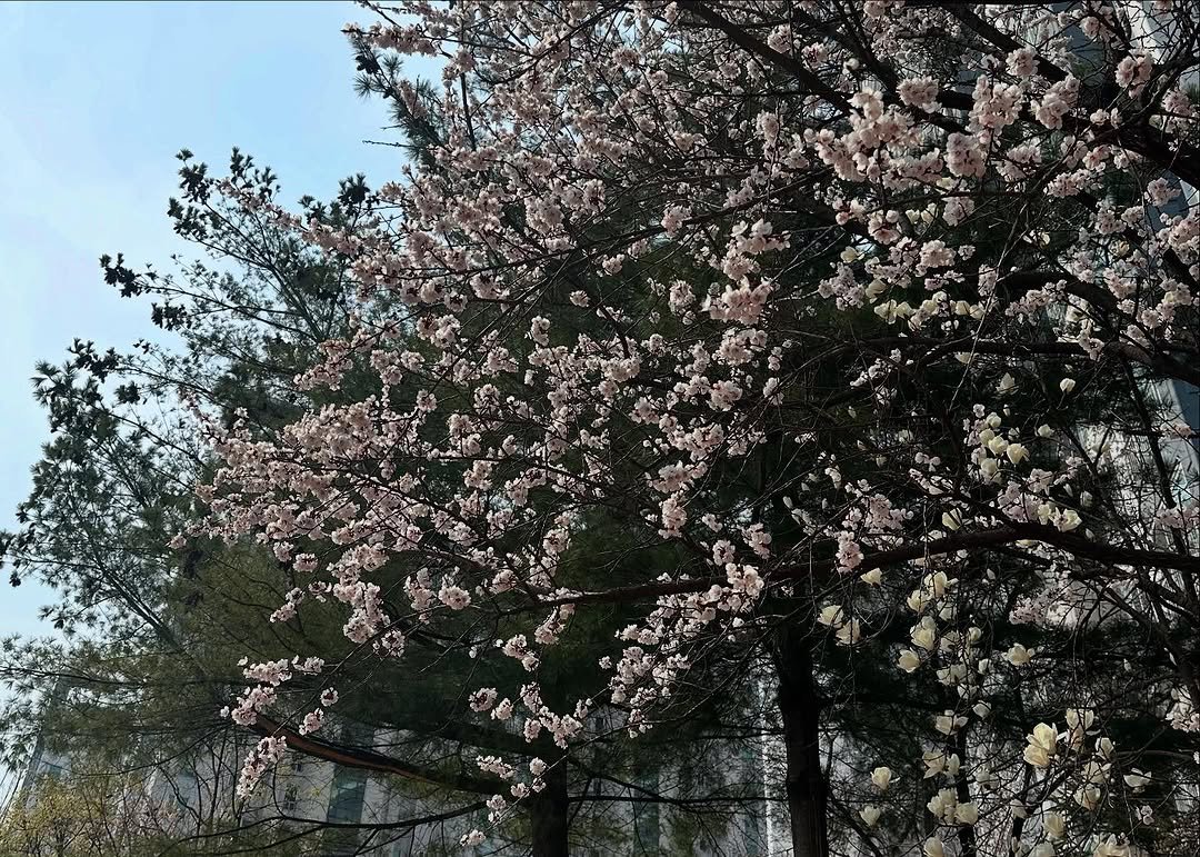 Photo by 공기업 취준생 은호 on April 06, 2025.