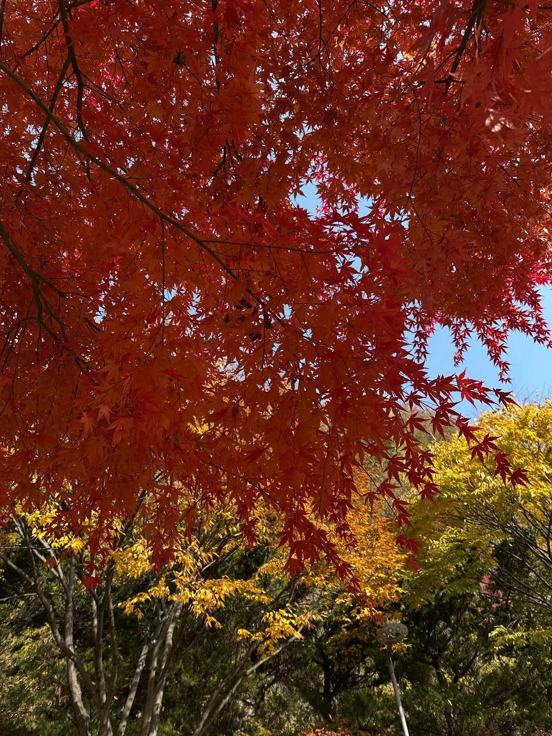 Photo by 공기업 취준생 은호 on November 27, 2025.