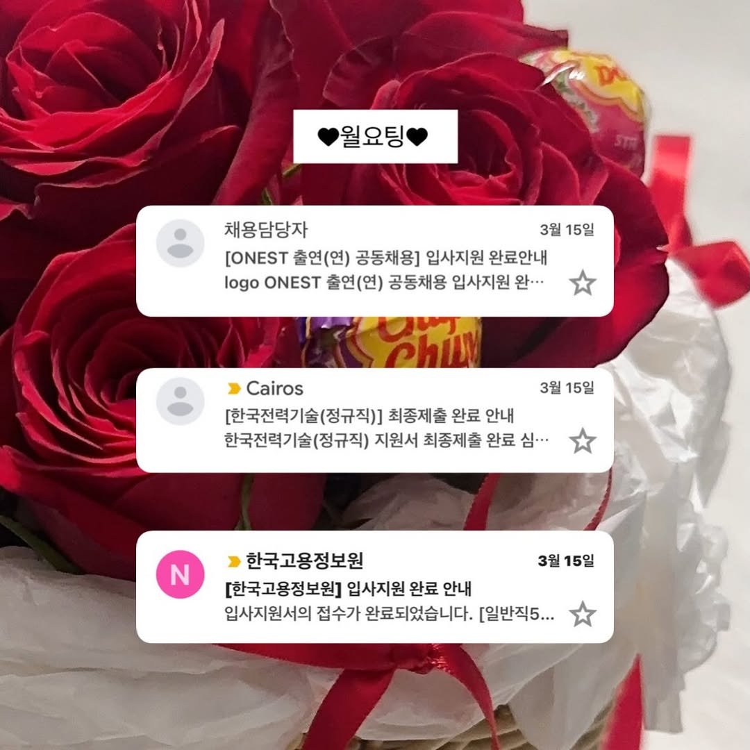 Photo by 공기업 취준생 은호 on March 15, 2026. May be an image of hamper, lollipop, flower arrangement, baby's-breath, prairie gentian, rose and text that says '월요팅 채용담당자 3월 15일 [ONEST 출연(연) 공동채용] 입사지원 완료안내 logo ONEST 출연(연) 공동채용 입사지원 완..· Cairos 3월 15일 [한국전력기술(정규직)] [한국조력기술(정구직)]체종계출원료언내 최중제출 완료 안내 한국전력기술(정규직) 지원서 최종제출 완료 한국전력기술(정규적)저원서최종제출원료심. 심··· N 3월 15일 한국고용정보원 [한국고용정보원] 입사지원 완료 안내 입사지원서의 접수가 완료되었습니다. [일반직5...'.