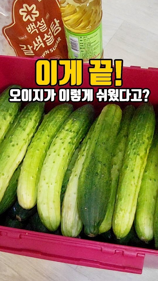 eunji_happyrice 게시물 이미지: 오늘도 쉬운 한끼~~🥒

오이 50개 🥒 샀는데,
엄마가 아파서 처음으로 오이지를...