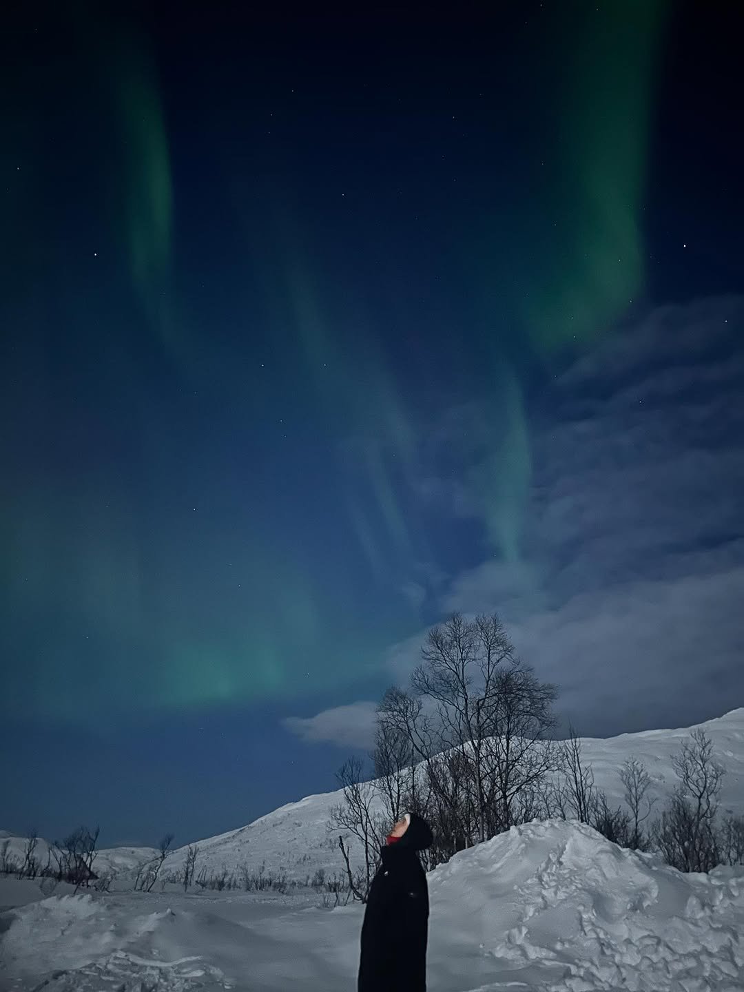 Photo by 안은진 on January 02, 2026. May be an image of arctic and text.