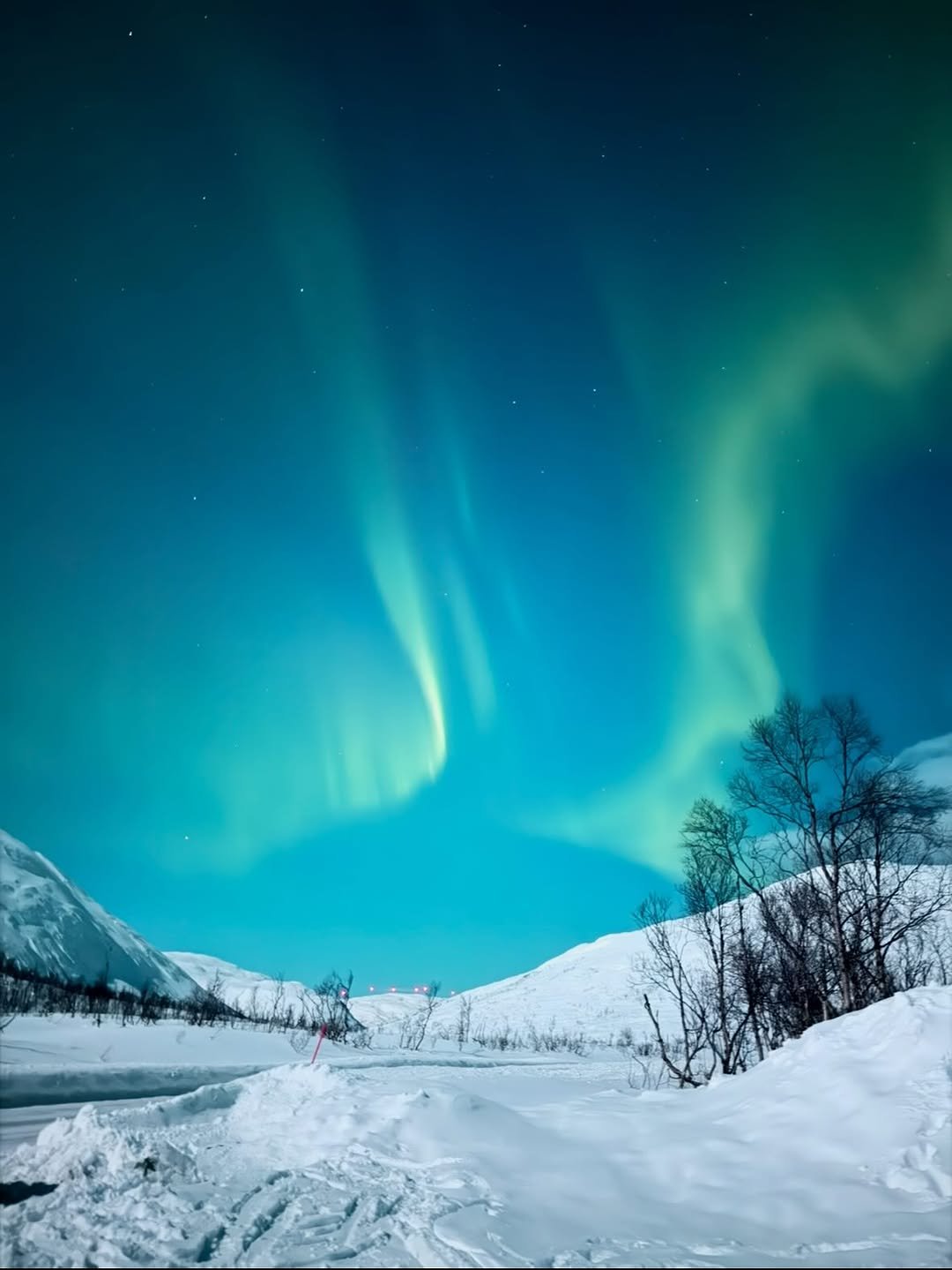 Photo by 안은진 on January 03, 2026. May be an image of arctic, nature and text.