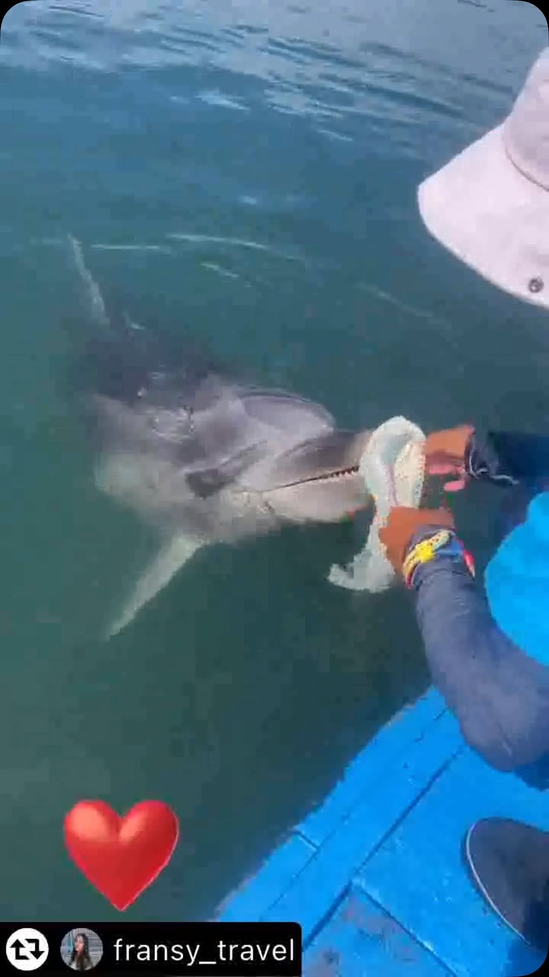 eunleee125 게시물 이미지: 오늘은 세계비닐봉지 없는 날 
재활용이 될줄 알지만. 바다로 어디론가 떠내려가고...