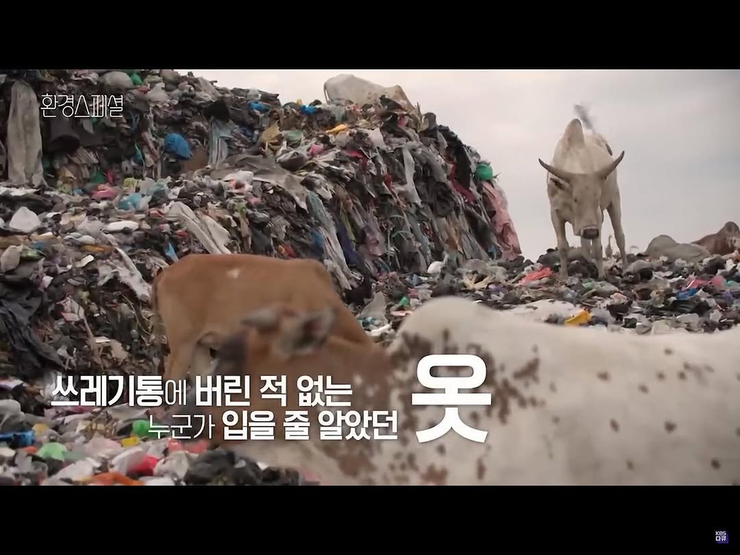 eunleee125 게시물 이미지: 항공기에서 배출하는 온실가스보다 
패션산업에서 발생하는 온실가스 양이 
많은 것...