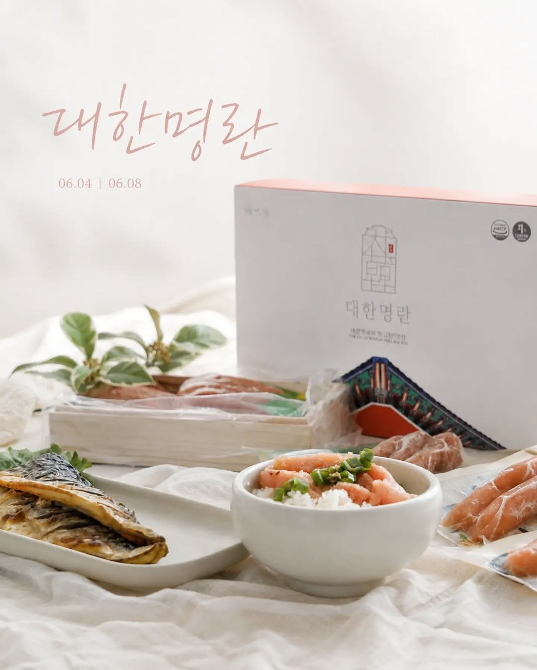 euns5 게시물 이미지: 