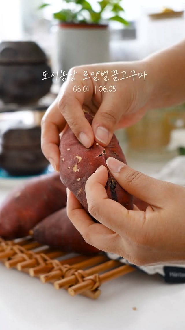 euns5 게시물 이미지: [광고 / 공동구매]
본 공동구매를 통해 판매 발생 시 수수료를...