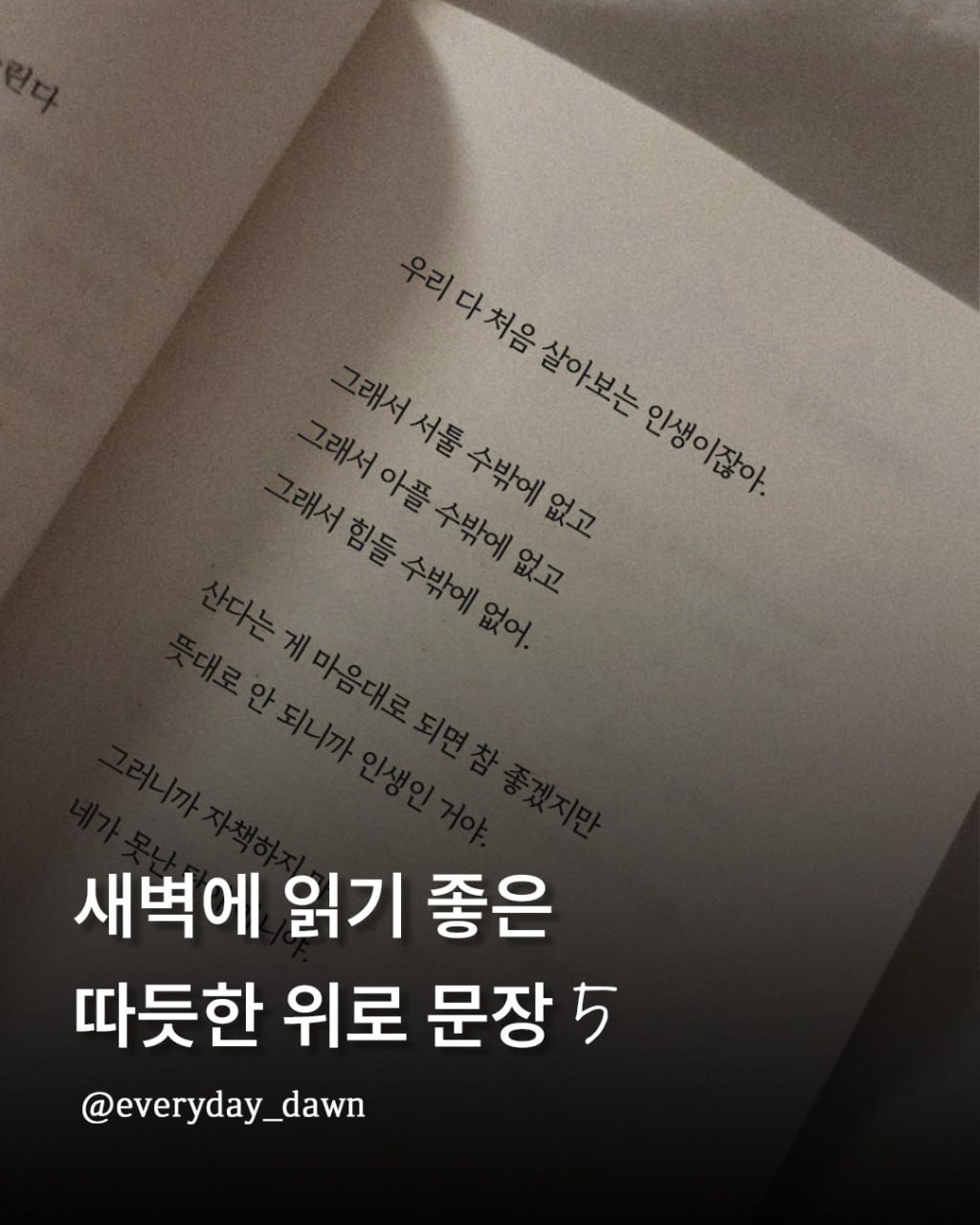 Photo by 신우 on February 22, 2026. May be an image of book and text that says '리다처음 리다처음살아보는 살아보는 상아보는 의다처음 그래서힘들수밖에없어. 래서아플 래서아플수밖에없고 그래서서둘 아플 힘들 래서서둘수밖에없고 인생이잖아, 인생이잖아 수밖에 수밖에 없고 수밖에 없어. 없고 새벽에 읽기 좋은 따듯한 위로 문장 5 @everyday_dawn'.
