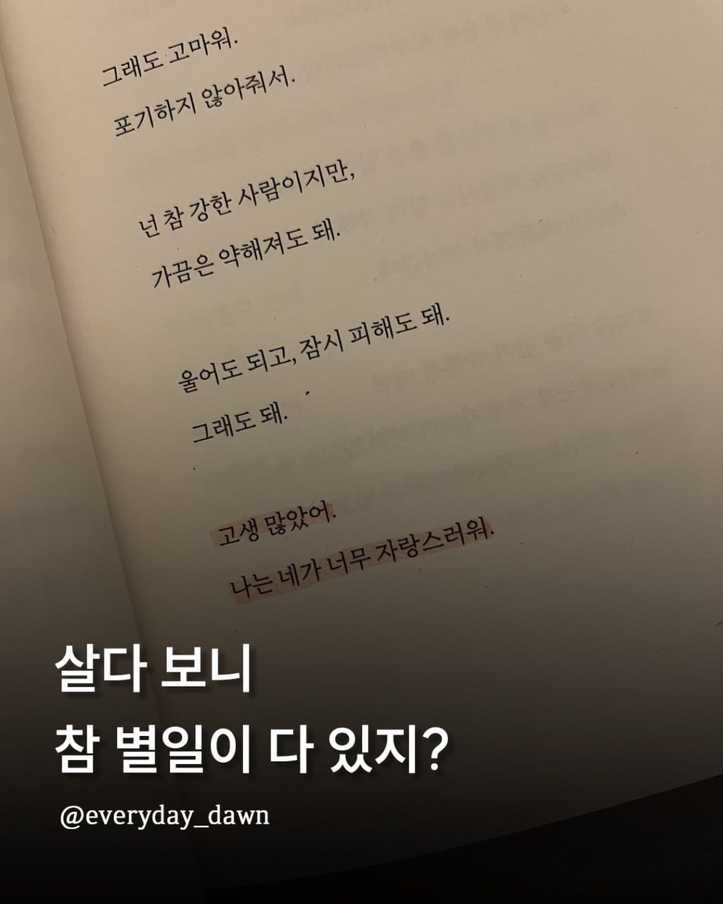 Photo by 신우 on February 21, 2026. May be an image of book and text that says '그래도 그래도고마워 포기하지않아줘서. 포기하지 고마워. 포기하지 않아줘서. 넌참강한사람이지만, 년장강한사람이지만, 사람이지만, 넌참강한 가끔은 가끔은약해져도돼. 약해져도돼. 울어도되고,잠시피해도돼. 용이도되고,참치피해도돼, 잠시 울어도 되고, 그래도돼 그래도돼. 살다 보니 참 별일이 다 있지? @everyday_dawn'.