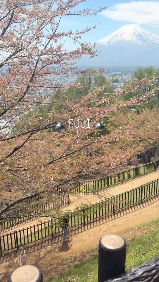 evn_jiya 게시물 이미지: ✈️ 후지산 보러 도쿄 올만 하네요
🧚‍♀️ 날요가 날요 했디잉 

#후지산...