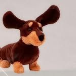 rram_iiii 프로필 사진