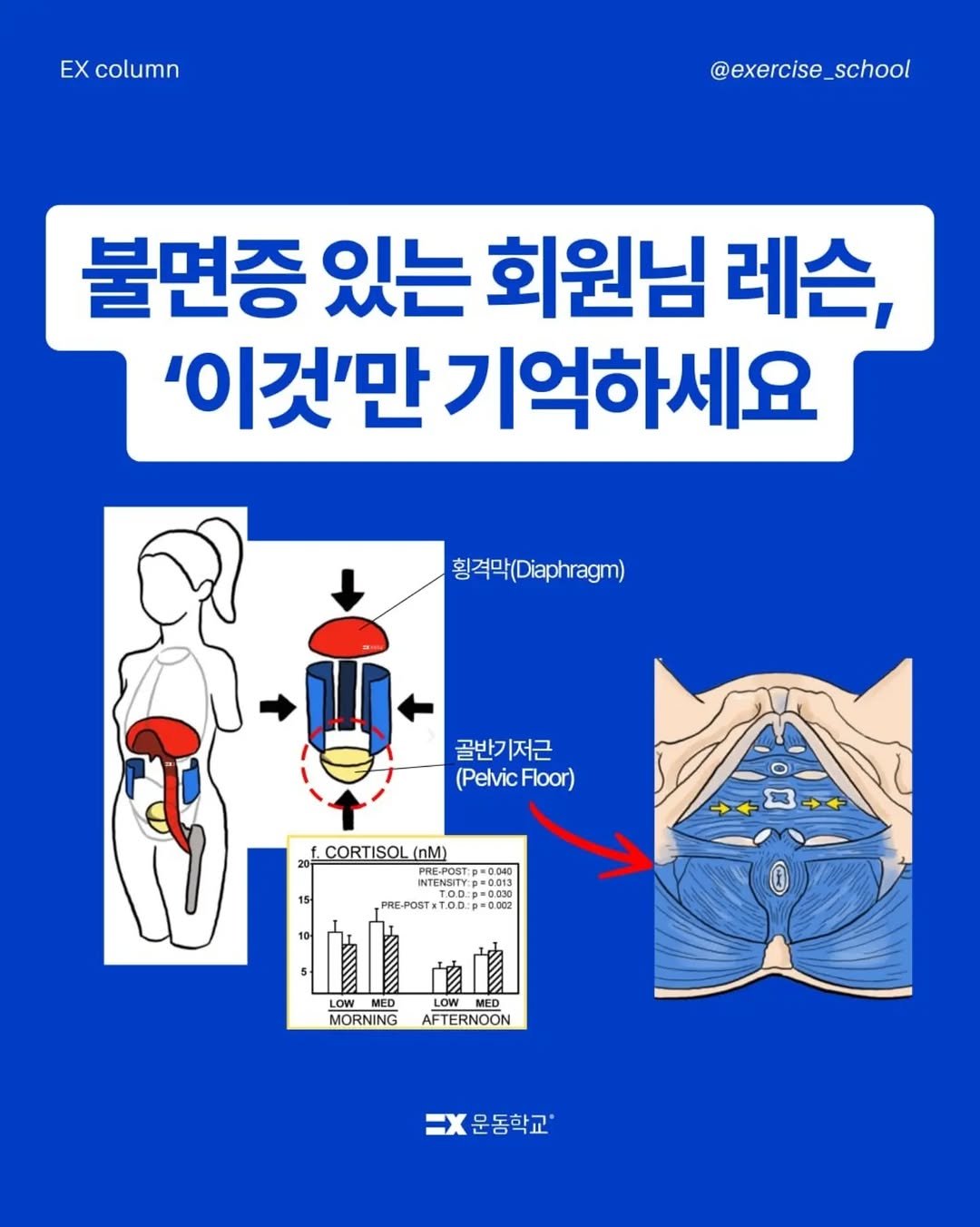 exercise_school 게시물 이미지: ❓ 신체뿐만 아니라 심리까지도 이해하고 접근하는 운동지도자!

불면증으로 힘들어하는...