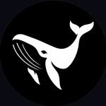 explainingtheocean 프로필 사진