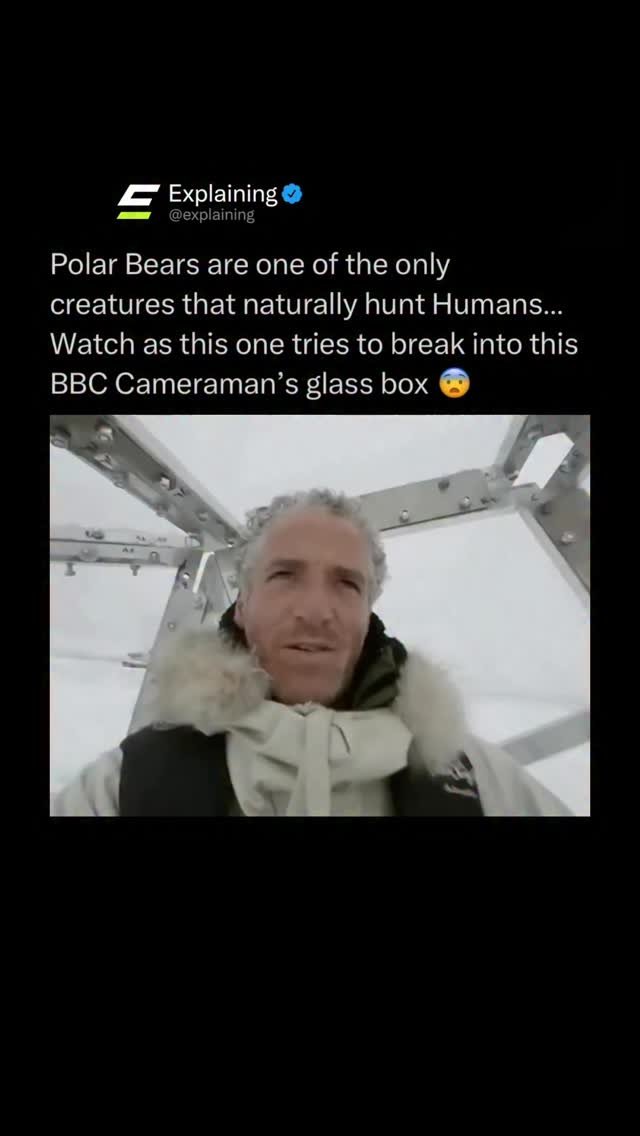 explainingnature 게시물 이미지: Polar bears are one of the few animals on...