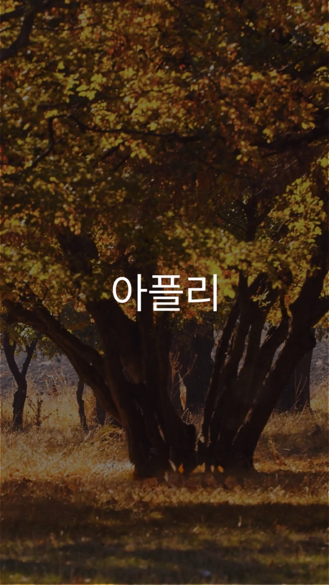 eyesmag 게시물 이미지: 쌀쌀한 공기에 옷깃을 여미게 되는 요즘, 입동이 지났지만 거리는 아직 가을의 온기를...