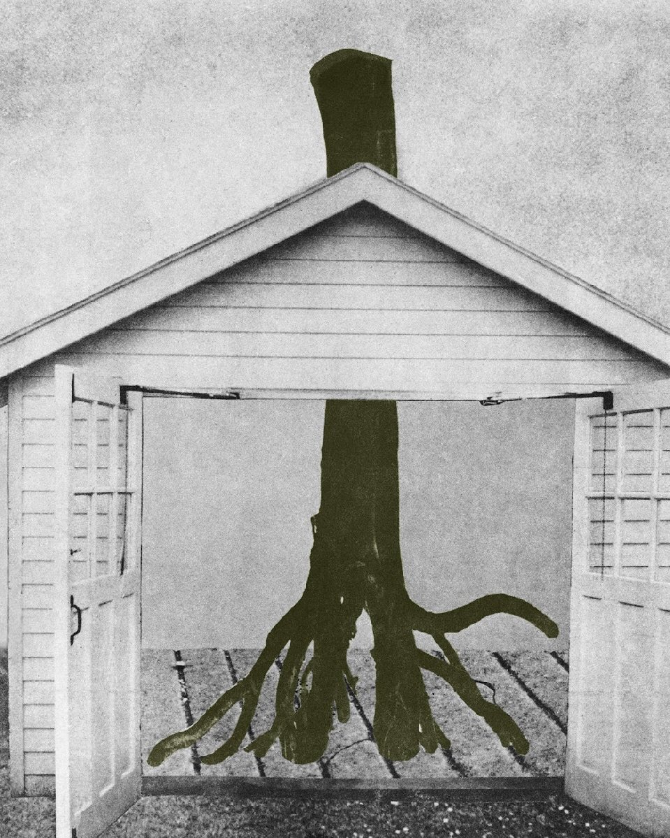 Photo shared by eyesmagazine 아이즈매거진 on November 16, 2025 tagging @seoulmuseumofart. May be an image of tree and text.