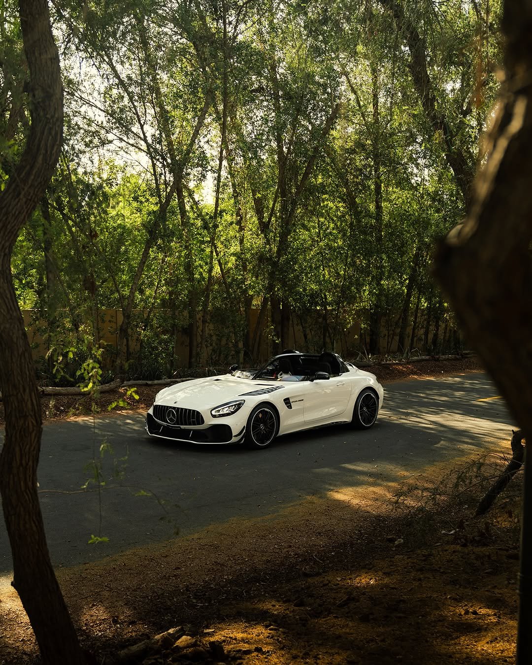 f1rstmotors 게시물 이미지: You just locked eyes with 1 of 5 perfection....