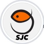 ricardinhotoledo 프로필 사진