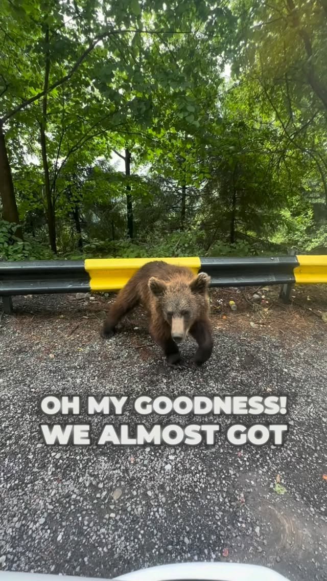 fabiominnig 게시물 이미지: It’s a really wild story, so let me share it...