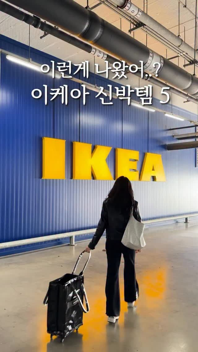 fairy__mom 게시물 이미지: 2026 봄맞이 이케아! 이런 게 있었어..?🩵🧡

오랜만에 이케아 가니까
새로운...