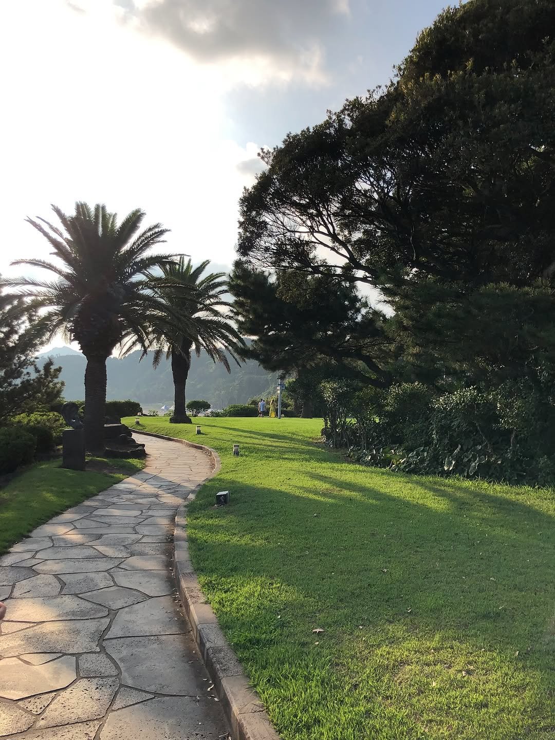 Photo by 동화 on August 30, 2025. May be an image of grass, palm trees, park and text.
