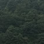 neighbor4em 프로필 사진