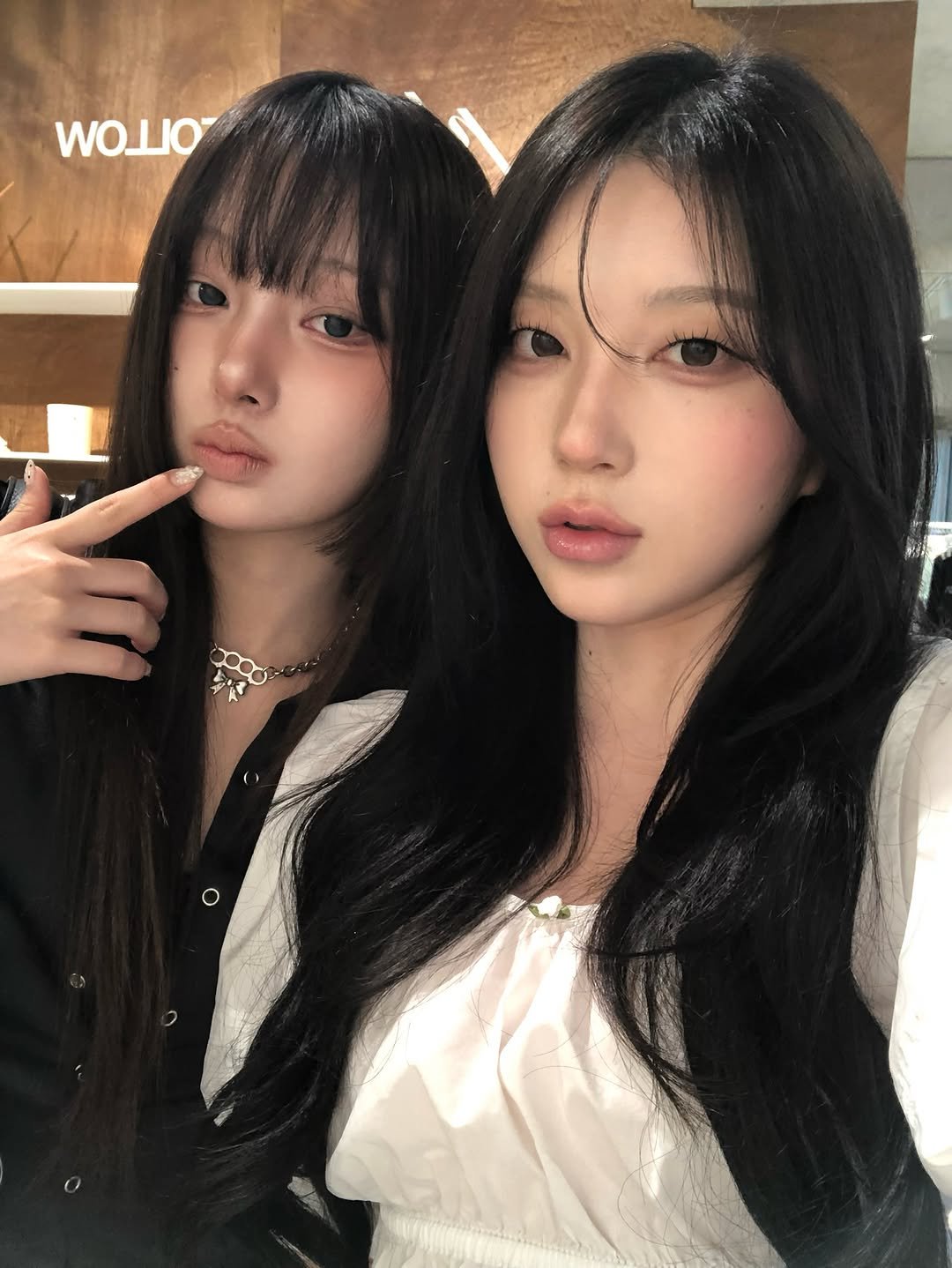 fairy_t1e 게시물 이미지: 실바니안 모임