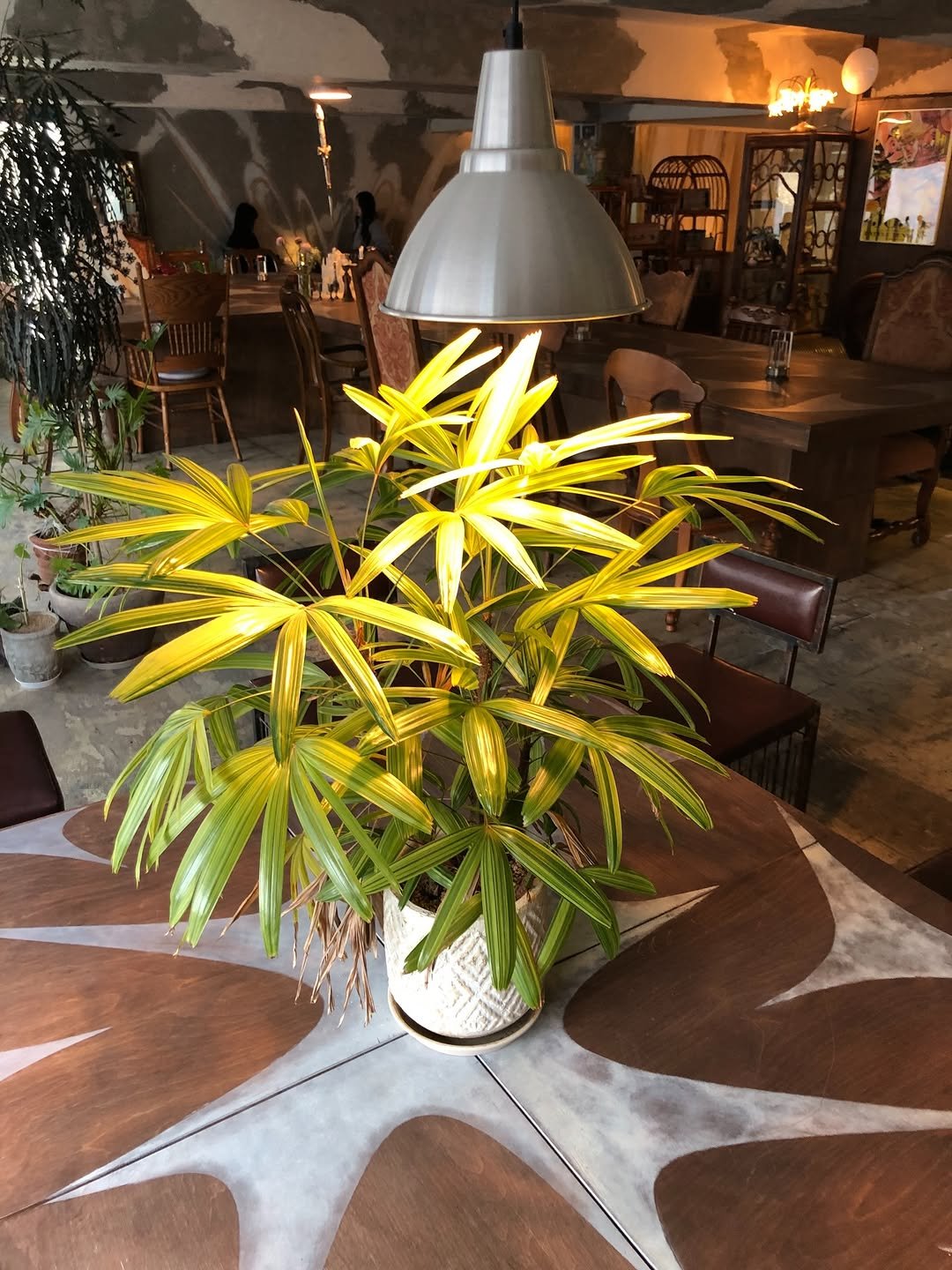 Photo by 동화 on November 22, 2025.